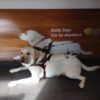 Guide Dogs can go anywhere_Morris Frank